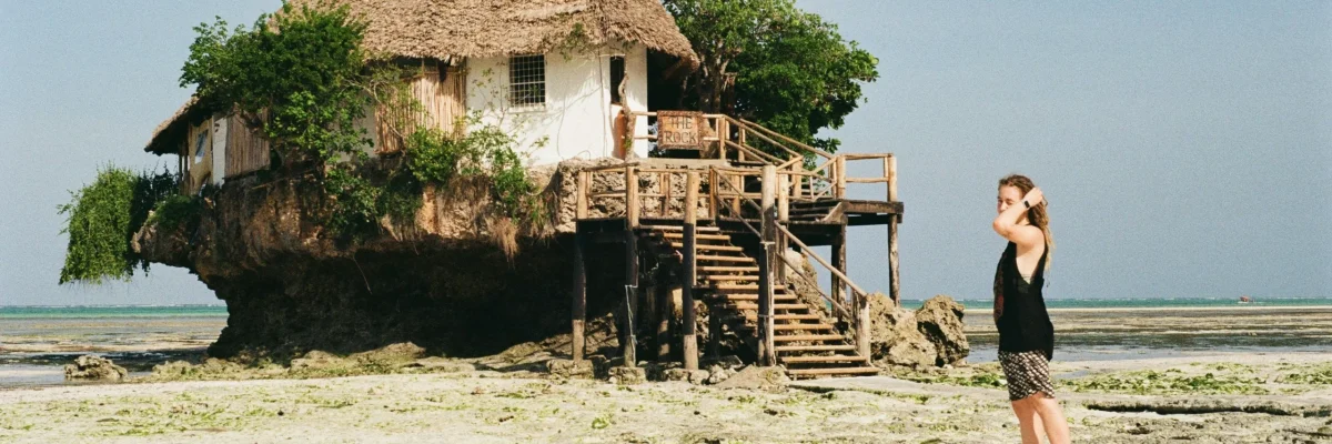 sasha-matveeva-T2yp6TjdOCg-unsplash