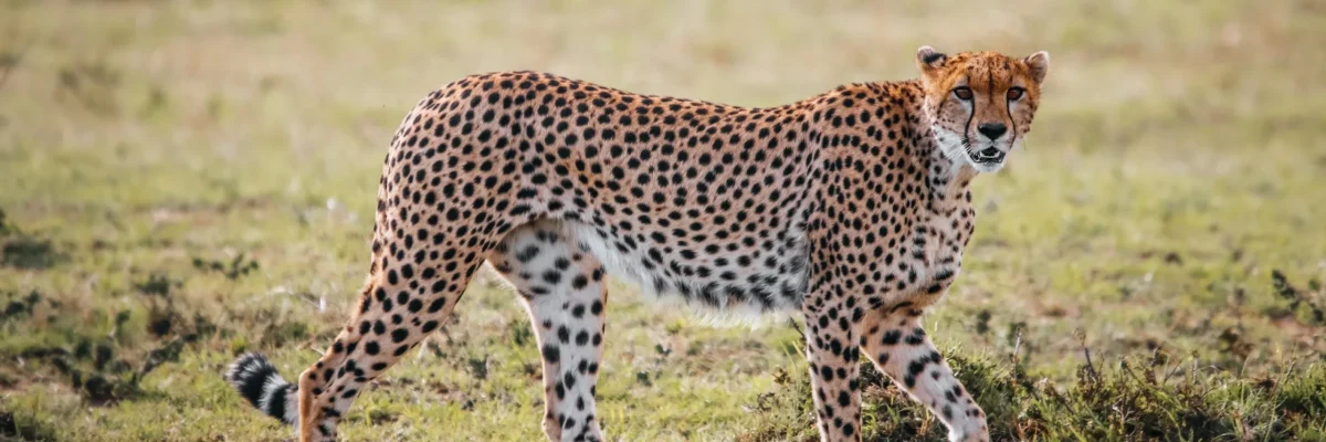 team-mfina-lOkjD5XJMzc-unsplash